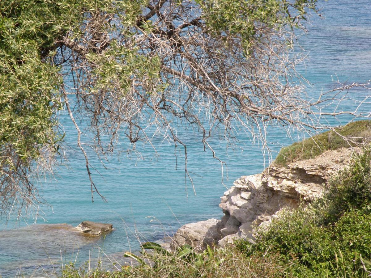 Sea View Holiday House Αρχάγγελος Εξωτερικό φωτογραφία